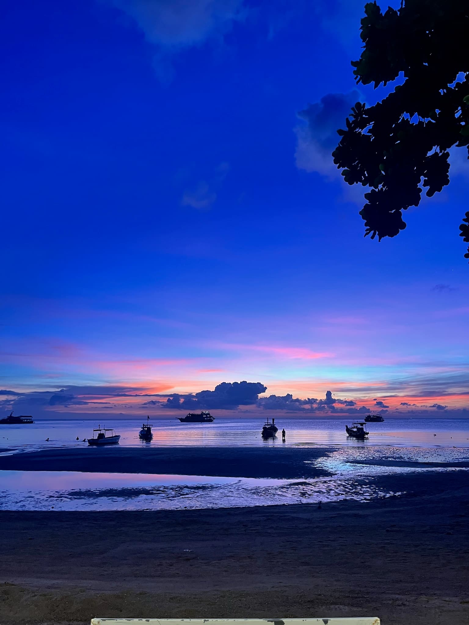 Koh Tao · 2024