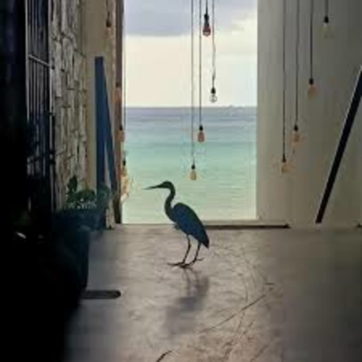 Reception volunteer in Cozumel Mexico photo 4